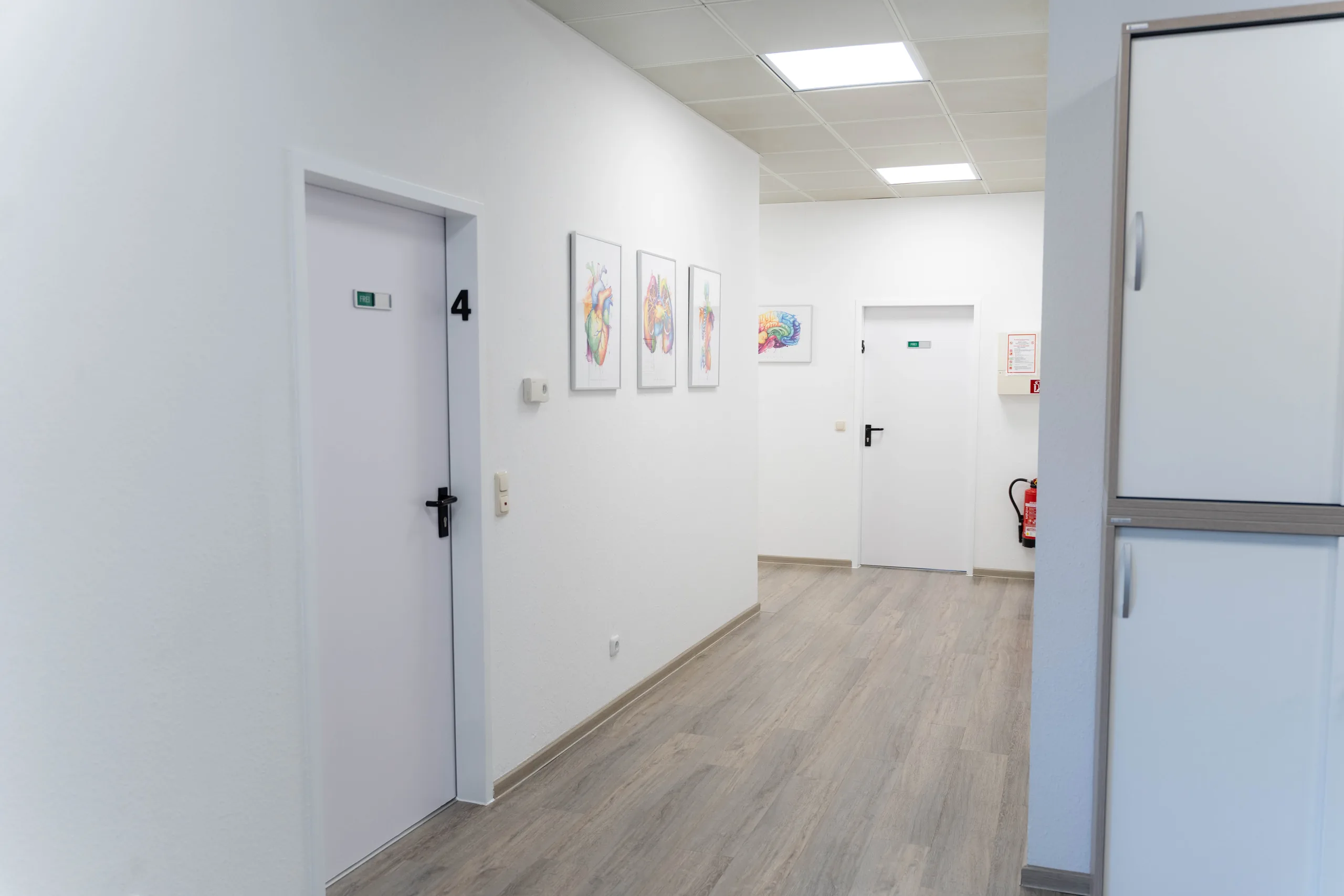 Heller Flur mit Anatomie-Kunst