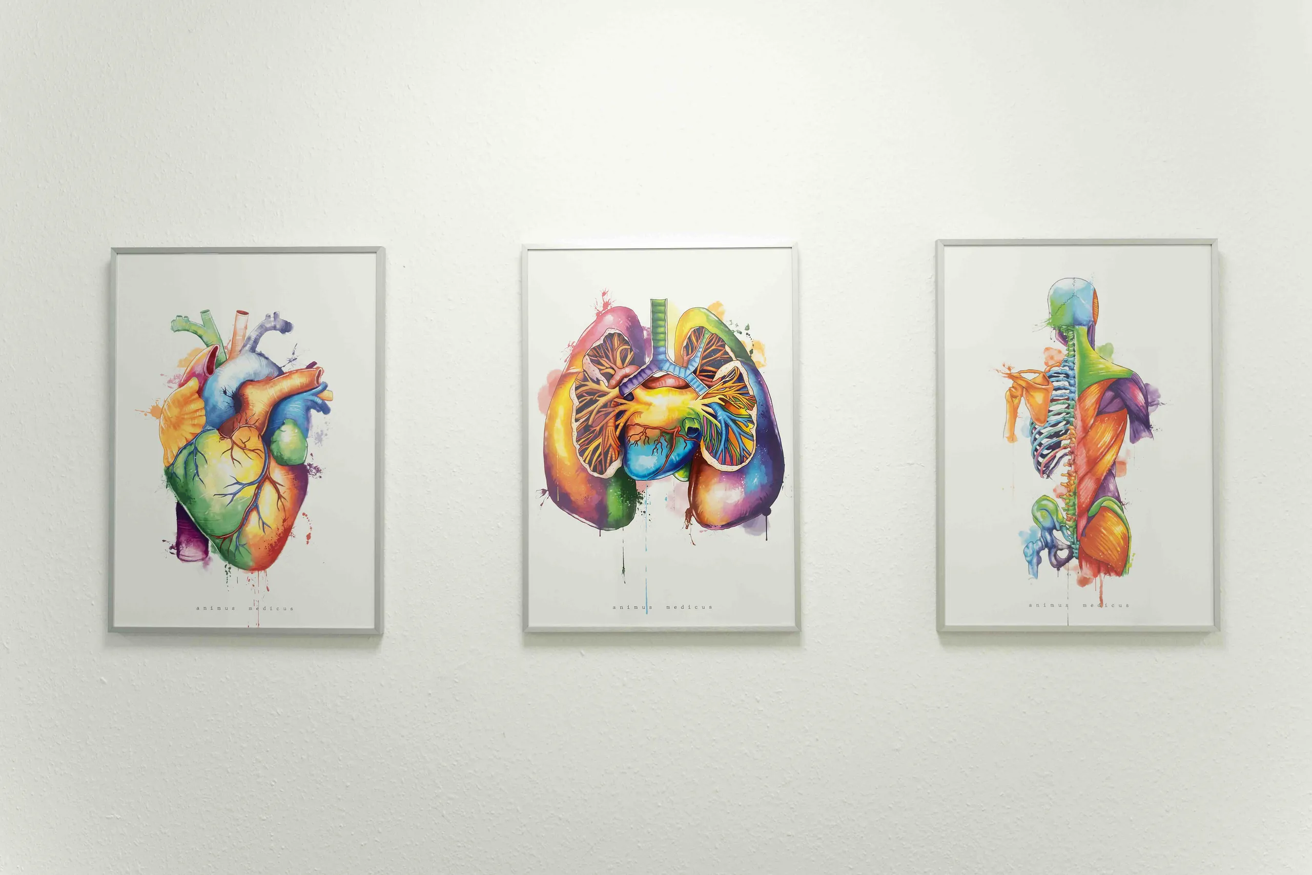 Farbenfrohe Anatomie-Aquarelle an der Praxiswand